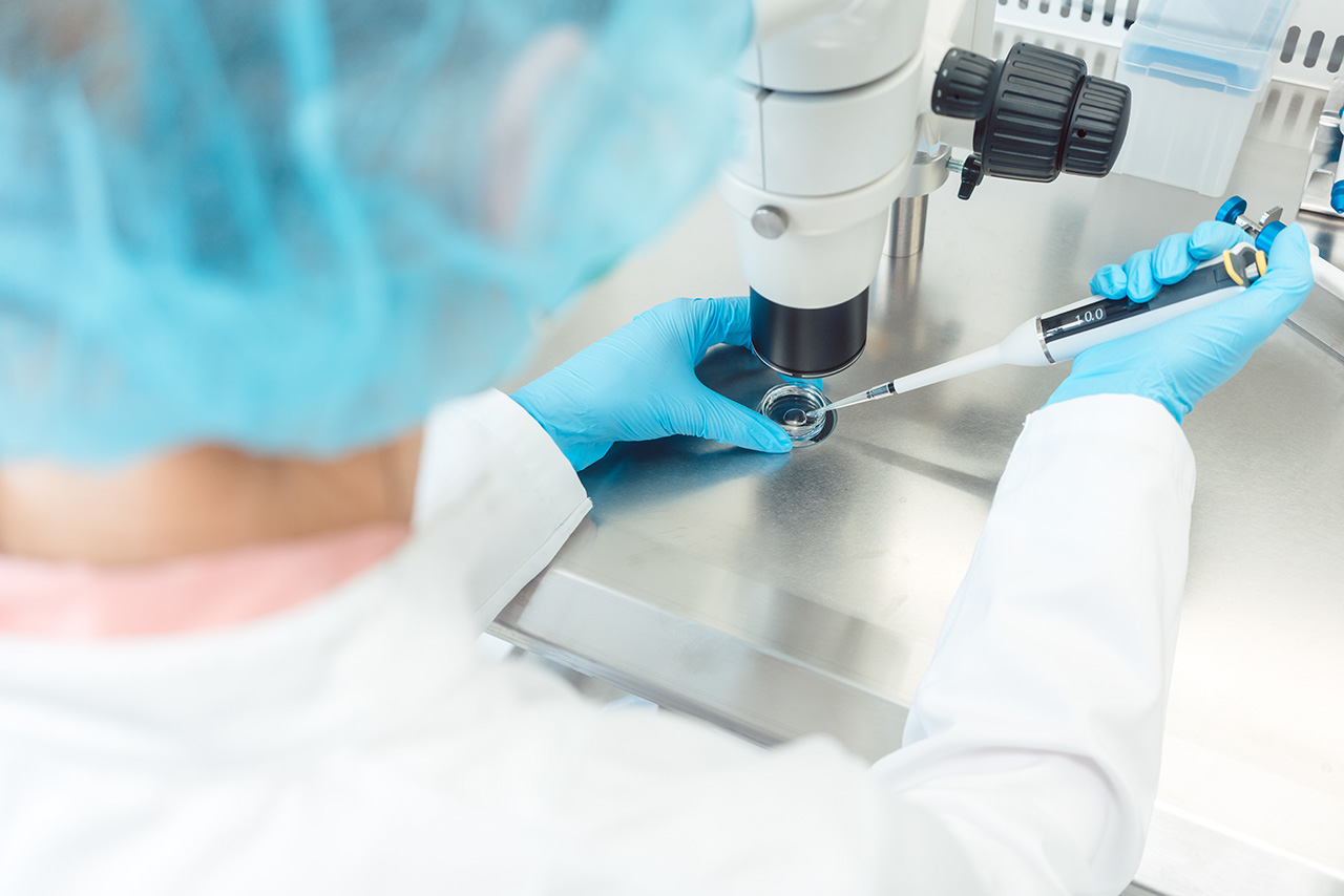 Fécondation in-vitro, une deuxième chance pour avoir des enfants